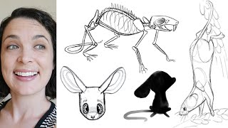 Animal Character Design | Adobe Creative Residency Grant