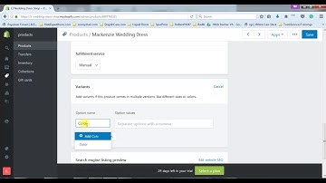 Shopify Basics - How To Add Variants To Products - Ivy