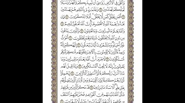 الوجه 269 من القرآن مكرر ١٠ مرات مع الآيات | سورة النحل | الشيخ خليفة الطنيجي