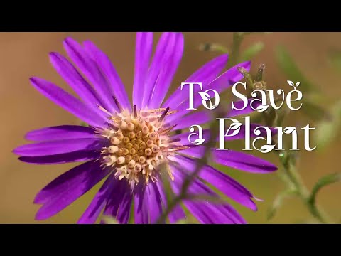 To Save A Plant | Georgia Outdoors