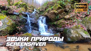 Живая природа - Ручей в горах | Звуки природы | Звуки ручья | Шум воды | Релаксация | Заставка ТВ