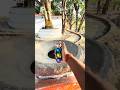 mini jbl speaker and bass testing