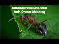 Dreaming About Ants: Symbolism and Interpretations in Dreams