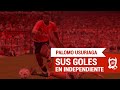 Todos los goles del Palomo Usuriaga en Independiente