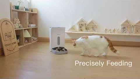 Petwant F11-L 4.5L LED Automatic Pet Feeder CH436