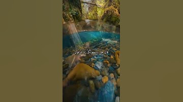 القارئ عبد الرحمن العوسي