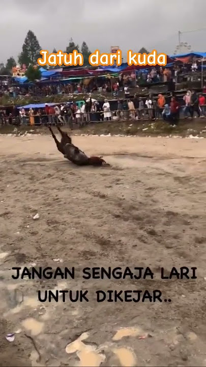 Kuda Terjatuh #horse #pacuankudaindonesia #horseracing