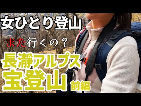 【宝登山】看護師の休日、ロウバイが見ごろと聞いて行かないわけにいかない!駅から登れる低山登山♪【女子登山】