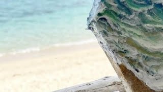 油絵】【油彩画】六角形キャンバスに描く！迫力ある3D波アートの制作