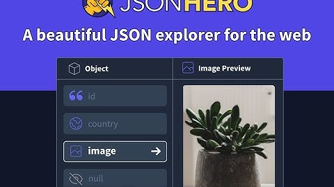 Introducing the JSON Hero Chrome Extension