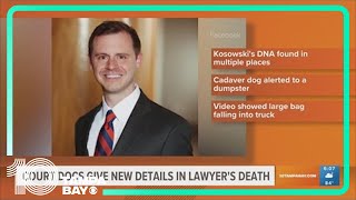 Court documents give new details in case of Tampa plastic surgeon charged with murder of local lawye