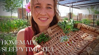 Simple and Powerful HOMEMADE BEDTIME TEA | Harvest and Blend with Me