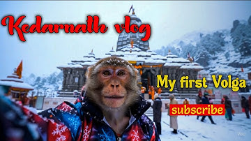 Monkey Takes Over Kedarnath Temple! 😱🐒 | Viral Vlog | #Kedarnath #MonkeyVlog #volg #veo3 #volgger