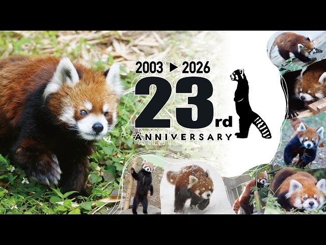 アーカイブ】2026.7.5 風太23歳誕生日ライブ配信 - YouTube