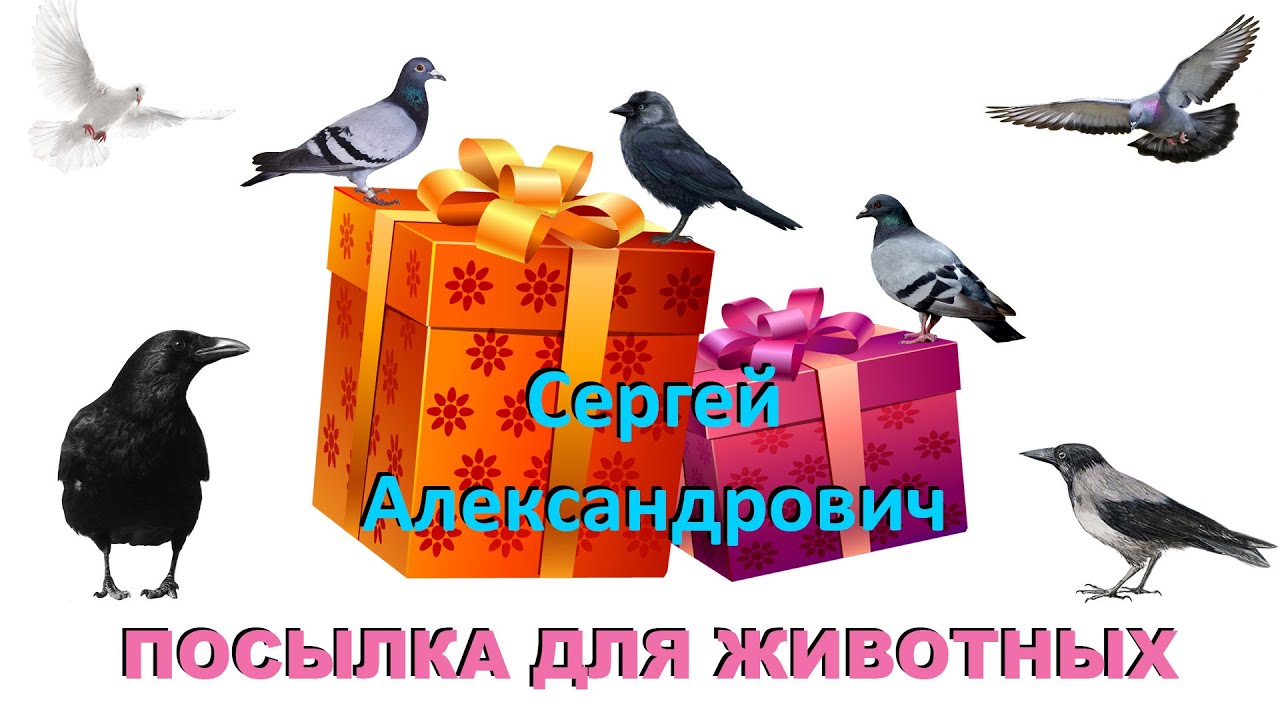 ПОСЫЛКА ОТ ЗРИТЕЛЕЙ. Сергей Александрович