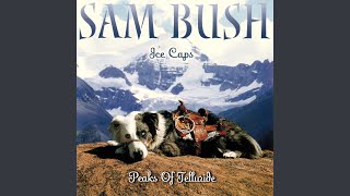Video thumbnail of "Sam Bush - Hungry For Your Love"