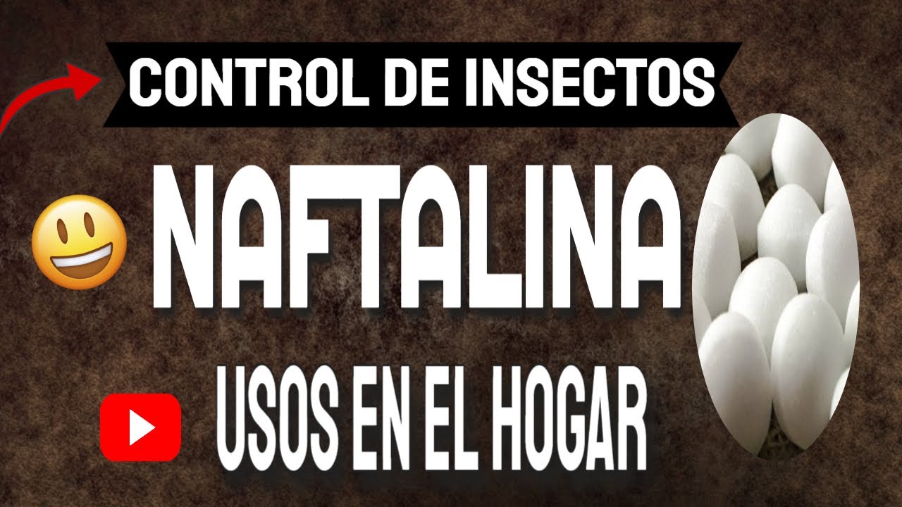 Control de insectos: NAFTALINA ¿Para qué Sirve? ¡7 Usos en el Hogar