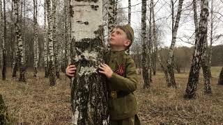 Я помню ранило берёзу автор Васильев С.А.