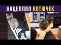 Приколы. КОЛЮЧКИ-КОТЮЧКИ | Мемозг #127