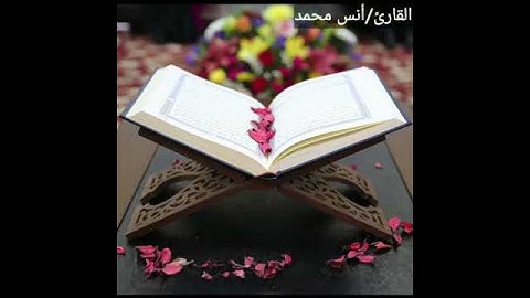 أفلا يتدبرون القرءان (مجود)بصوت القارئ/أنس محمد