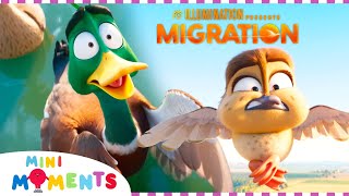 Best Of Migration  | Migration | HD | Compilation | Movie Moments | Mini Moments