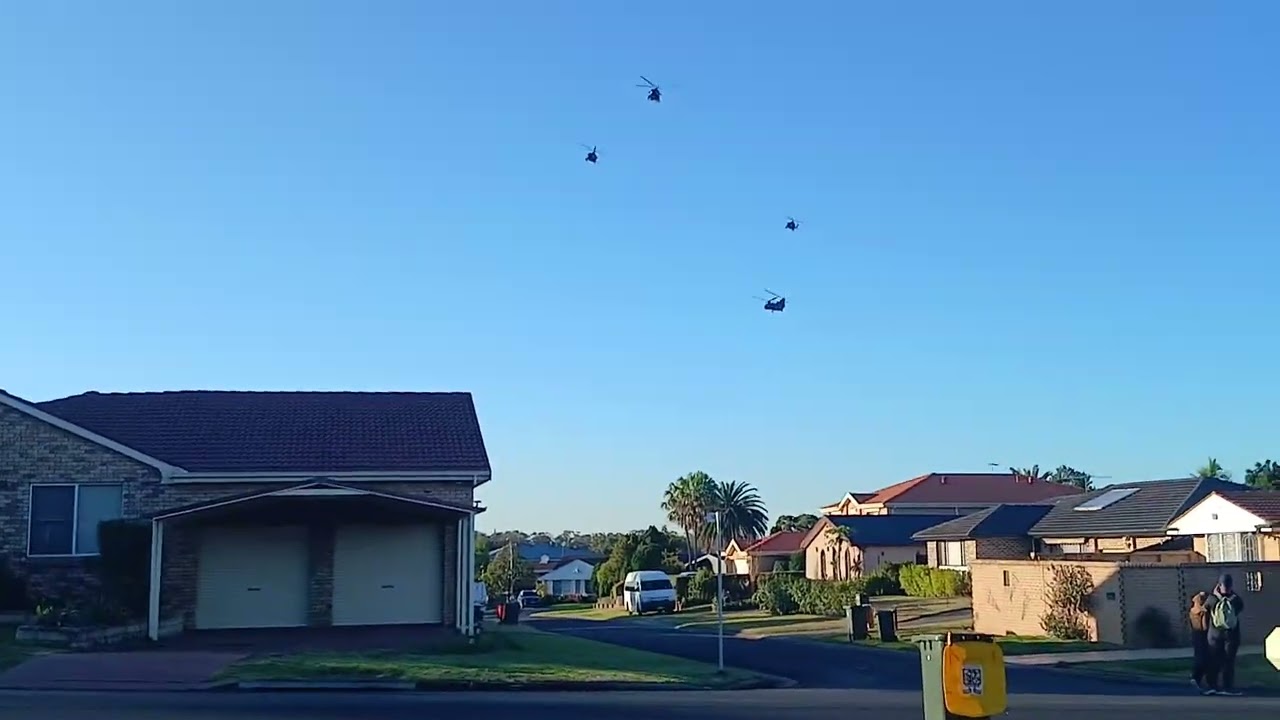 *Chinook* [X3] Australian army - UH-60M Blackhawks in convoy with one Chinook