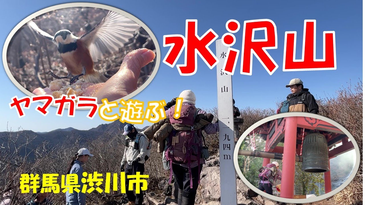 急階段の先に３６０度の絶景！水沢山名物ヤマガラと遊ぶ山旅