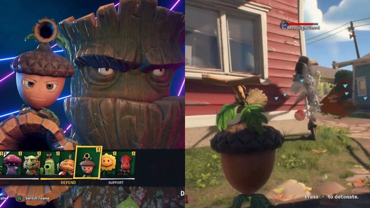 acorn and oak plants vs zombies release date acorn and oak plants vs zombies release date