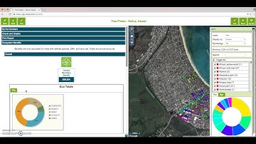 Kailua Citizen Foresters - How to View Environmental Benefits