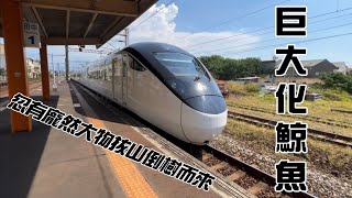 巨大化鯨魚!|忽有龐然大物拔山倒樹而來!?|清脆的魚尾鈑聲!|臺鐵田中站列車通過紀錄!|#asmr #火車 #耳機福利 #臺鐵 #自強號 #通過 #新自強號 @鐵道印象幻影-Tyh @railway_photo