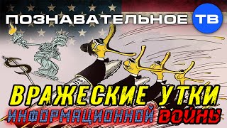 Вражеские утки информационной войны (Познавательное ТВ, Евгений Фёдоров) Вражеские утки информационной войны (Познавательное ТВ, Евгений Фёдоров)