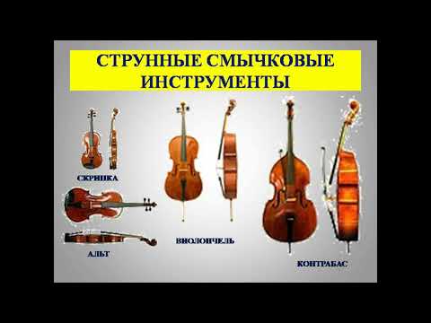 Музыкальные инструменты - струнно-смычковые