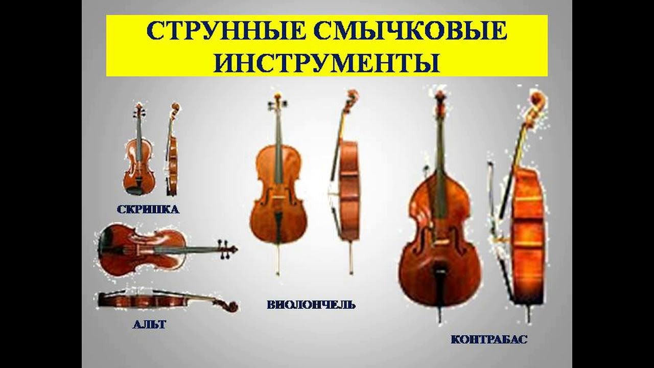 Музыкальные инструменты - струнно-смычковые - YouTube