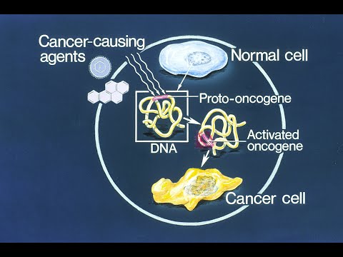 Vidéo: Leucémie Myéloïde Chronique: Le Paradigme Du Ciblage De La Signalisation De La Tyrosine Kinase Oncogène Et De La Lutte Contre La Résistance Pour Une Thérapie Anticancéreuse Réussie