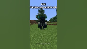 POV: You turn on peaceful mode 💀 #fypシ #minecraft #foryou #meme