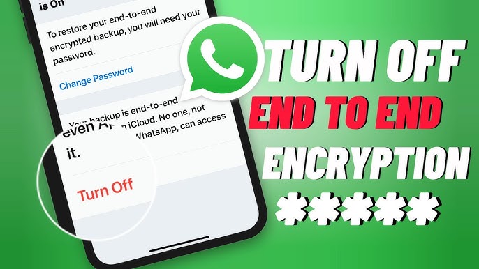 5 Ways To Guide Disabling Whatsapp End-to-end 2024
