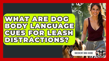 What Are Dog Body Language Cues For Leash Distractions? - Obedient Dog Guide