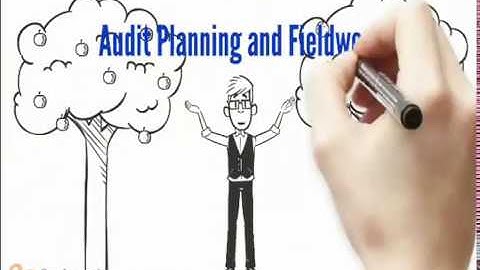 AUD339 - Audit Planning and Fieldwork (Part 1)