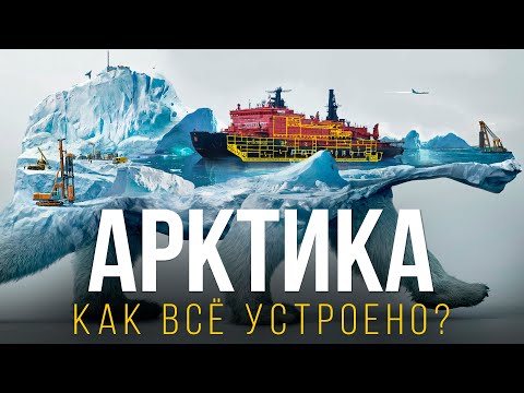 Video: Arktika tsüaniid – maailma suurim meduus