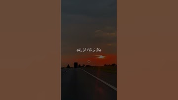 القارئ عبدالرحمن مسعد الذين صبروا وعلى ربهم يتوكلون #القرآن_الكريم #قرآن #عبدالرحمن_مسعد