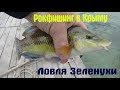 Рокфишинг.Ловля зеленухи.Бухта Кипчак.