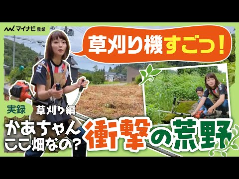 住まい/暮らし/子育て Lan jt イベント情報 - タイニーホーム｜滋賀県の6坪の家！小さなお家専門店
