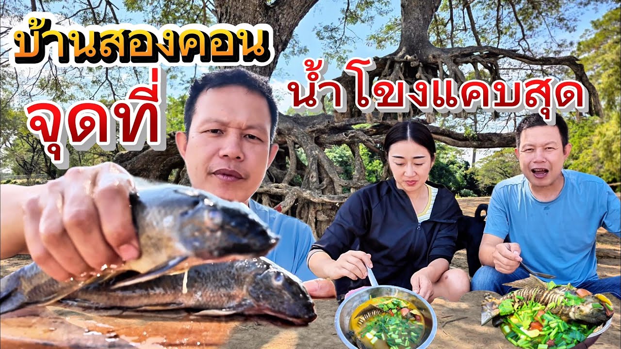 ลุงเด่นพาเที่ยว2026 EP#17ต้มยำปลาเกาะกินทีั้งขรี่ บ้านสองคอนจุดที่น้ำโขงแคบที่สุดในประเทศไทย