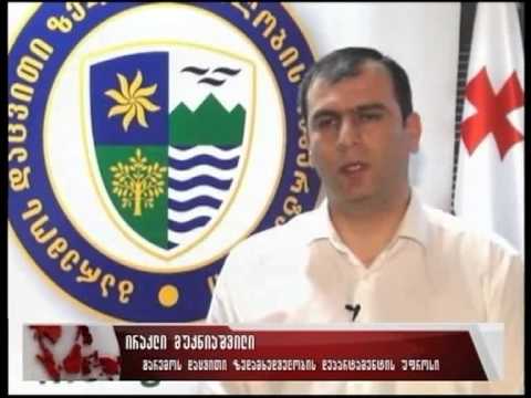 ლაგოდეხში „წითელ ნუსხაში\" შეტანილი ჯიხვი მოკლეს