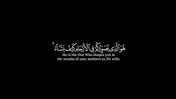 إن الله لا يخفى عليه شيء في الأرض  شاشة سوداء | كرومات قرآن كريم | ياسر الدوسري حالات واتس