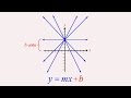 Understanding Linear and Affine Functions