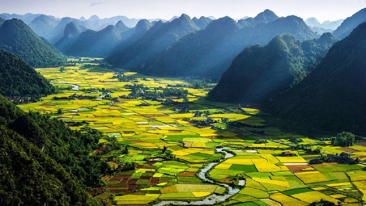  Amazing  things in Vietnam  VietNam  Natural 2022 YouTube