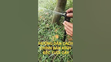 Hướng dẫn cách chỉnh béc tưới cây tại gốc