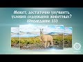 Может, достаточно улучшить условия содержания животных (Оправдание 15)