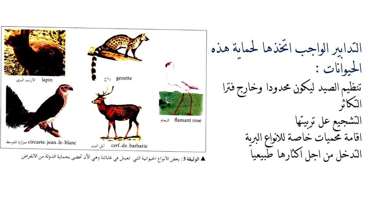مخاطر الاستعمال المفرط للأسمدة واكثار السلالات المرغوبة 1 ثانوي
